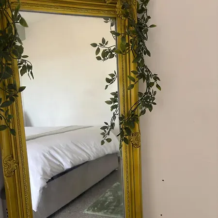 Sleeps 3 - Parking Wifi Pet Friendly דירה הרוגייט